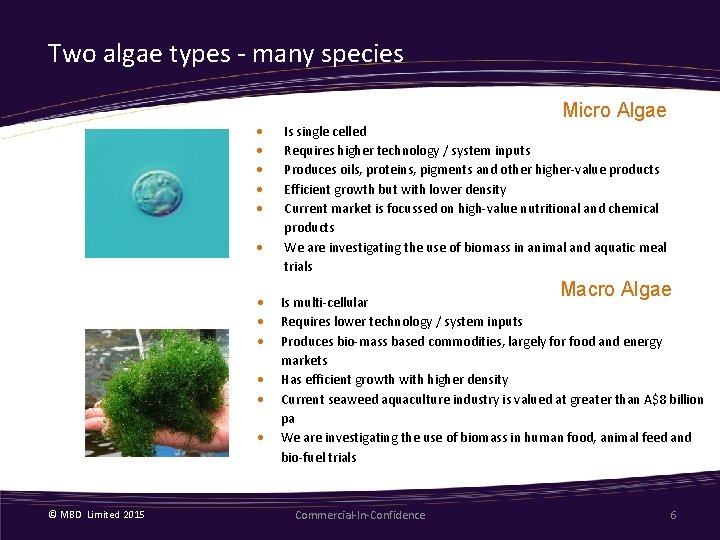 Two algae types - many species © MBD Limited 2015 Micro Algae Is single