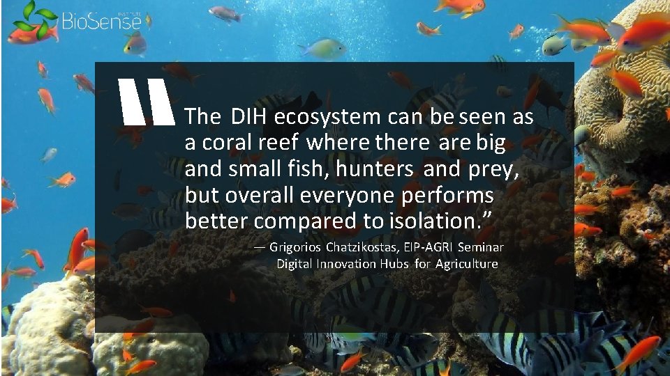 The DIH ecosystem can be seen as a coral reef where there are big