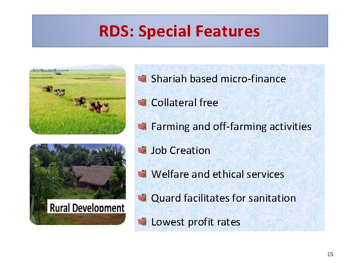RDS: Special Features Shariah based micro-finance Collateral free Farming and off-farming activities Job Creation