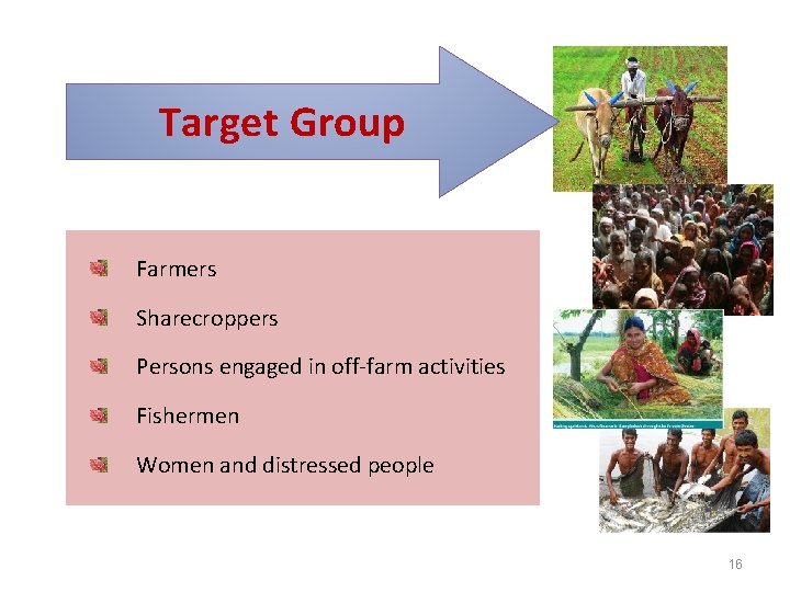 Target Group Farmers Sharecroppers Persons engaged in off-farm activities Fishermen Women and distressed people