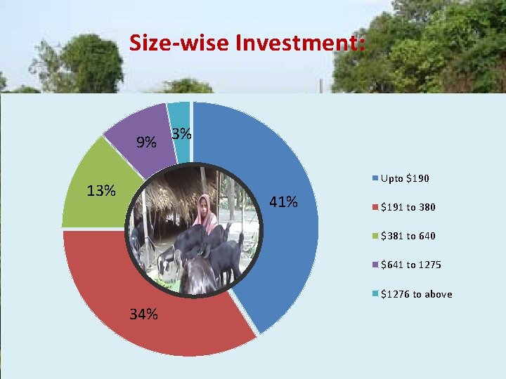 Size-wise Investment: Fig. taka in million 9% 3% Upto $190 13% 41% $191 to