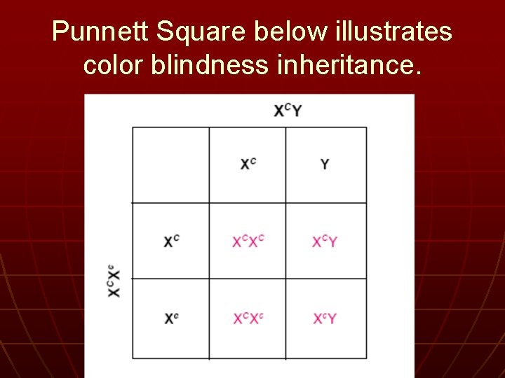 Punnett Square below illustrates color blindness inheritance. 