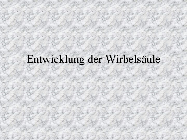 Entwicklung der Wirbelsäule 