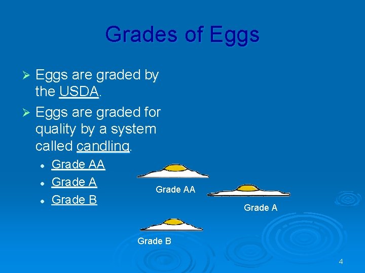 Grades of Eggs are graded by the USDA. Ø Eggs are graded for quality