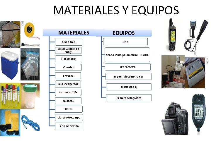 MATERIALES Y EQUIPOS MATERIALES Red D Net. Bolsas Ziplock de 500 g EQUIPOS GPS