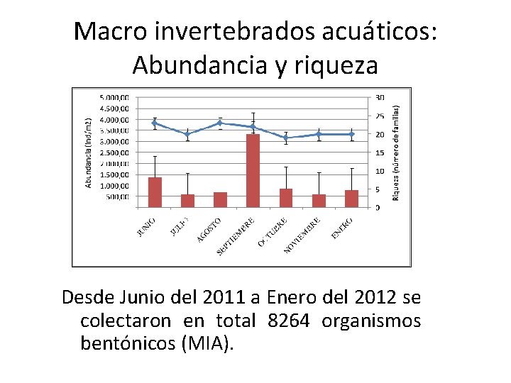 Macro invertebrados acuáticos: Abundancia y riqueza Desde Junio del 2011 a Enero del 2012