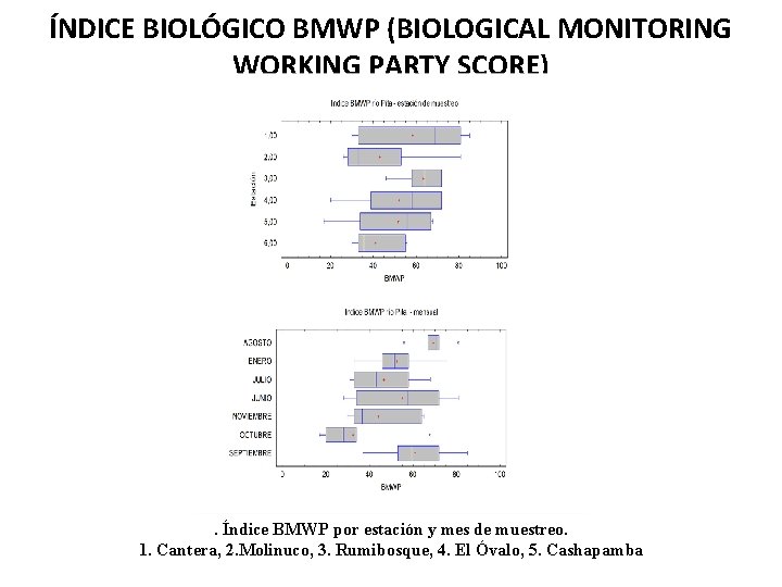 ÍNDICE BIOLÓGICO BMWP (BIOLOGICAL MONITORING WORKING PARTY SCORE) . Índice BMWP por estación y