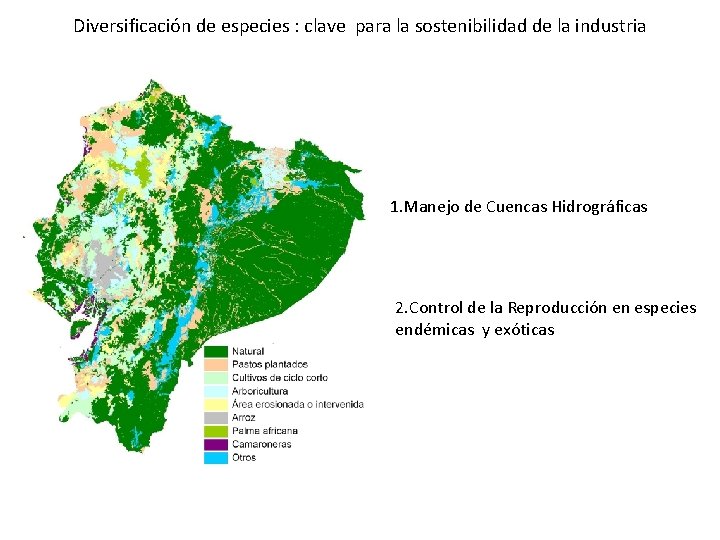 Diversificación de especies : clave para la sostenibilidad de la industria 1. Manejo de