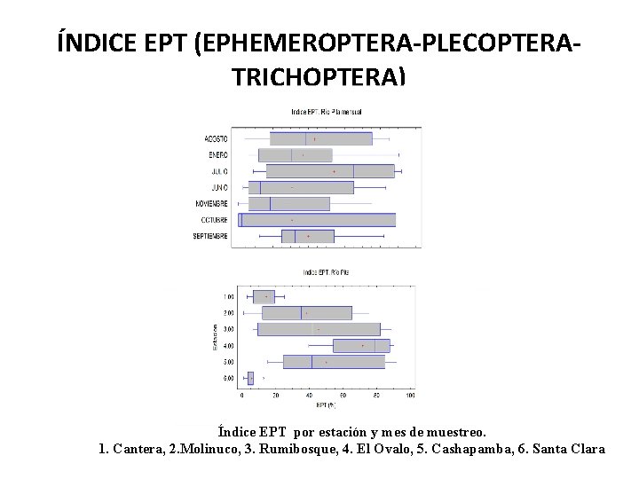 ÍNDICE EPT (EPHEMEROPTERA-PLECOPTERATRICHOPTERA) Índice EPT por estación y mes de muestreo. 1. Cantera, 2.