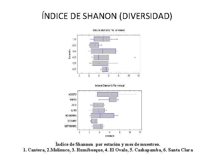 ÍNDICE DE SHANON (DIVERSIDAD) Índice de Shannon por estación y mes de muestreo. 1.