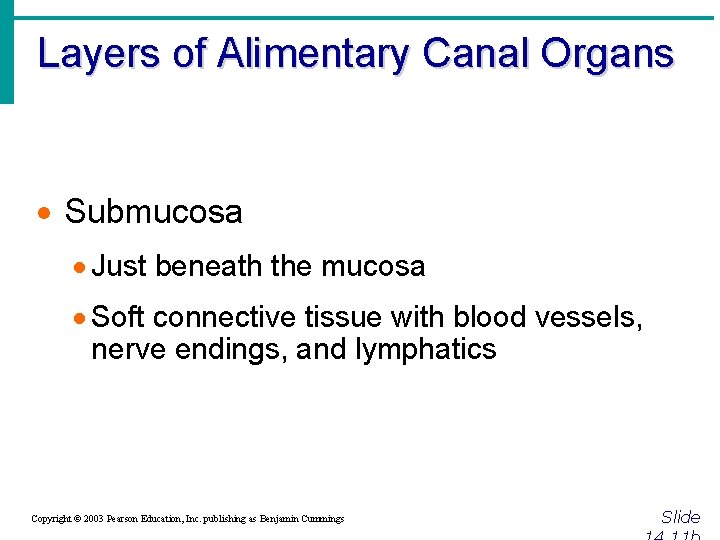Layers of Alimentary Canal Organs · Submucosa · Just beneath the mucosa · Soft