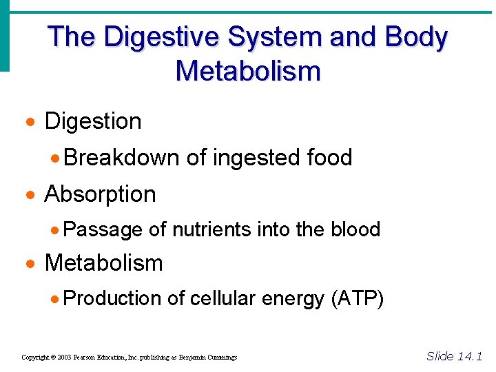 The Digestive System and Body Metabolism · Digestion · Breakdown of ingested food ·