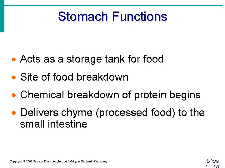 Stomach Functions · Acts as a storage tank for food · Site of food