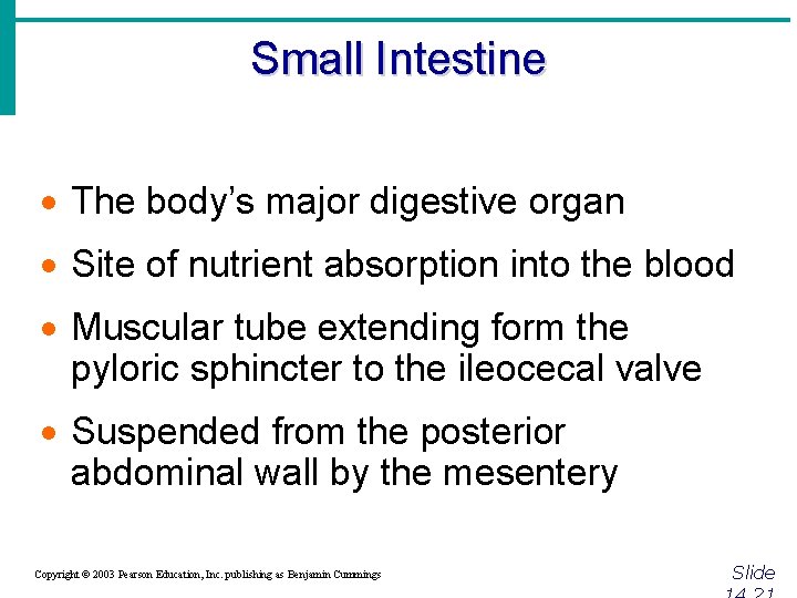 Small Intestine · The body’s major digestive organ · Site of nutrient absorption into