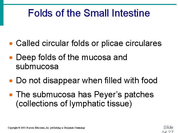 Folds of the Small Intestine · Called circular folds or plicae circulares · Deep