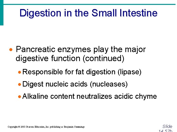 Digestion in the Small Intestine · Pancreatic enzymes play the major digestive function (continued)