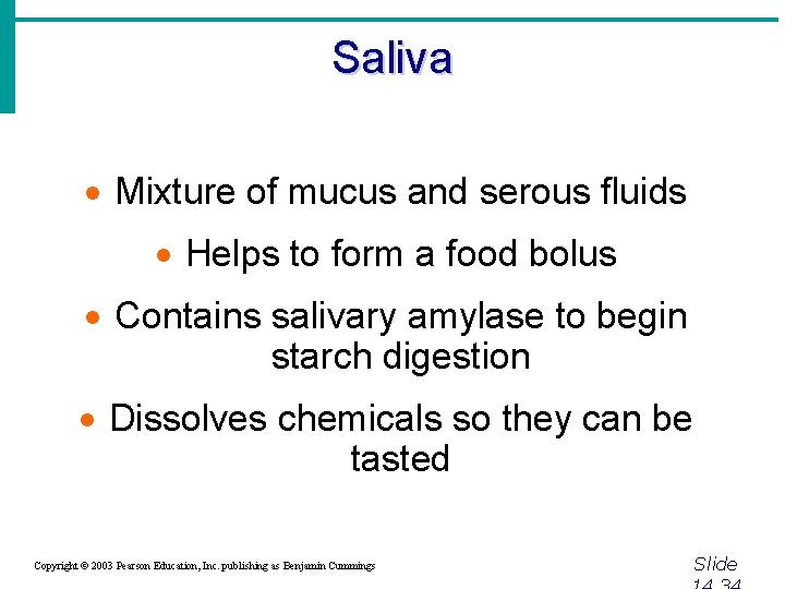 Saliva · Mixture of mucus and serous fluids · Helps to form a food