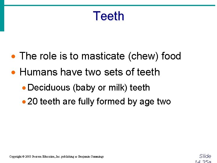 Teeth · The role is to masticate (chew) food · Humans have two sets