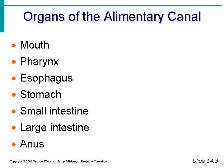 Organs of the Alimentary Canal · Mouth · Pharynx · Esophagus · Stomach ·