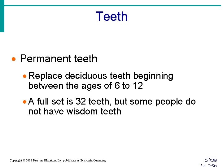 Teeth · Permanent teeth · Replace deciduous teeth beginning between the ages of 6