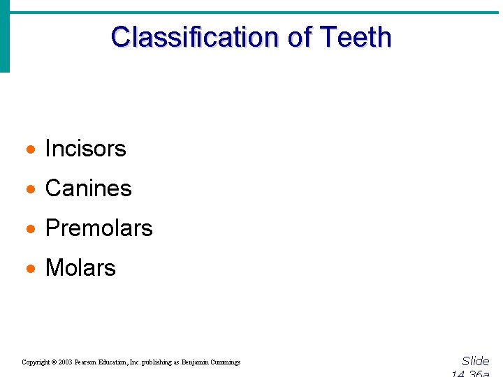 Classification of Teeth · Incisors · Canines · Premolars · Molars Copyright © 2003