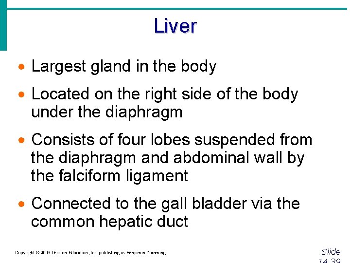 Liver · Largest gland in the body · Located on the right side of