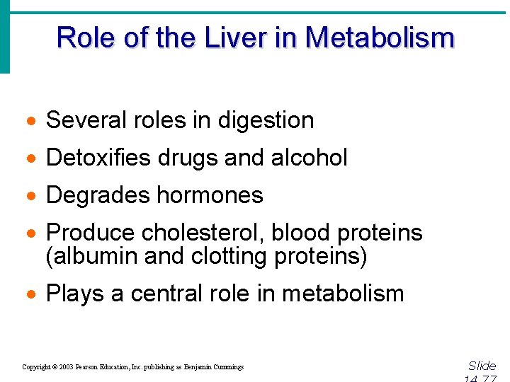 Role of the Liver in Metabolism · Several roles in digestion · Detoxifies drugs