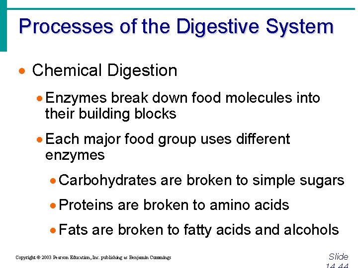 Processes of the Digestive System · Chemical Digestion · Enzymes break down food molecules
