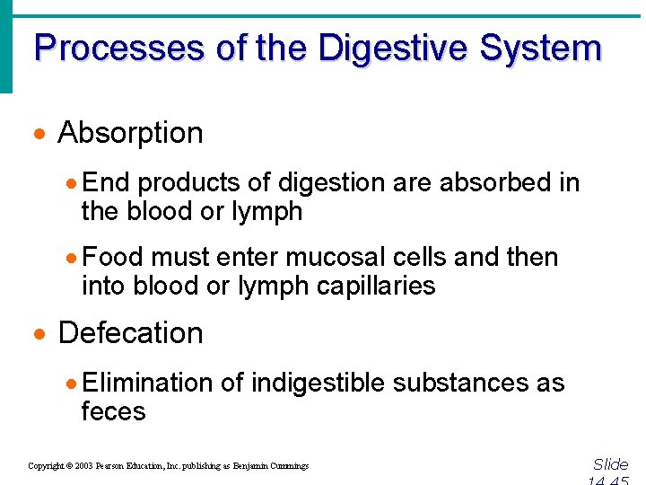 Processes of the Digestive System · Absorption · End products of digestion are absorbed