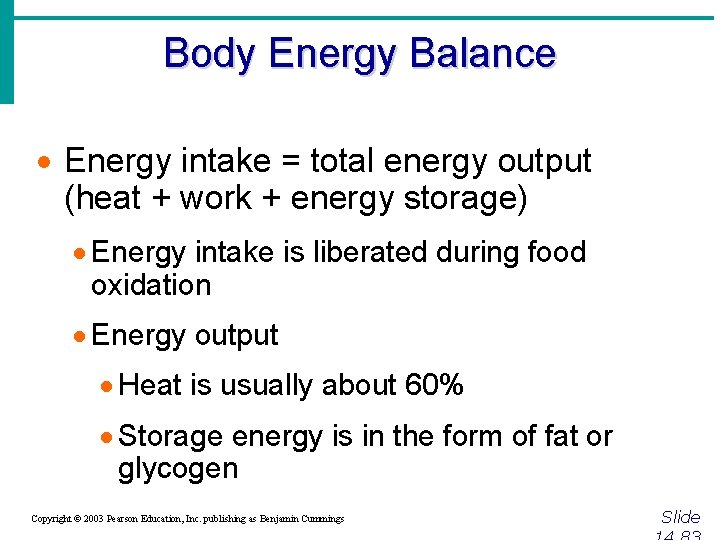 Body Energy Balance · Energy intake = total energy output (heat + work +