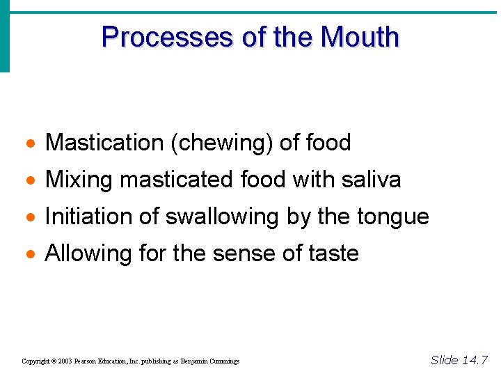 Processes of the Mouth · Mastication (chewing) of food · Mixing masticated food with