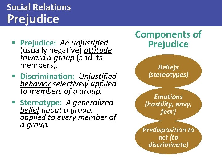 Social Relations Prejudice § Prejudice: An unjustified (usually negative) attitude toward a group (and
