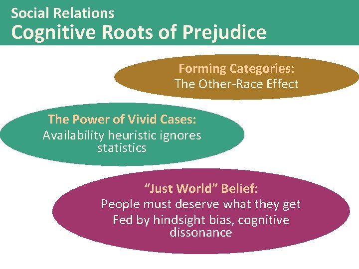 Social Relations Cognitive Roots of Prejudice Forming Categories: The Other-Race Effect The Power of