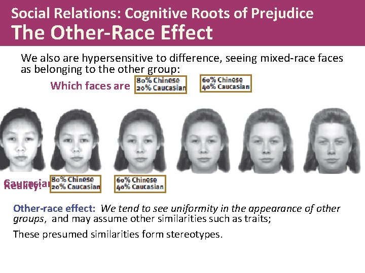 Social Relations: Cognitive Roots of Prejudice The Other-Race Effect We also are hypersensitive to