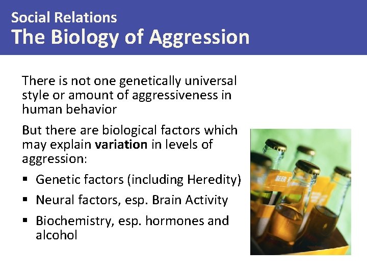 Social Relations The Biology of Aggression There is not one genetically universal style or