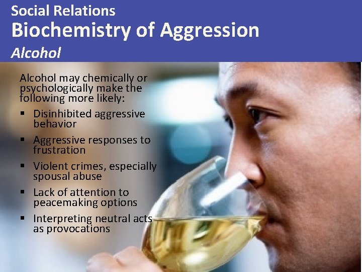Social Relations Biochemistry of Aggression Alcohol may chemically or psychologically make the following more