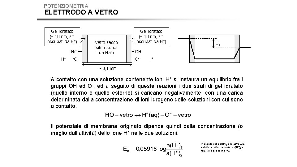 POTENZIOMETRIA ELETTRODO A VETRO Gel idratato (~ 10 nm, siti occupati da H+) HO