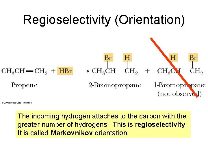 Regioselectivity (Orientation) The incoming hydrogen attaches to the carbon with the greater number of