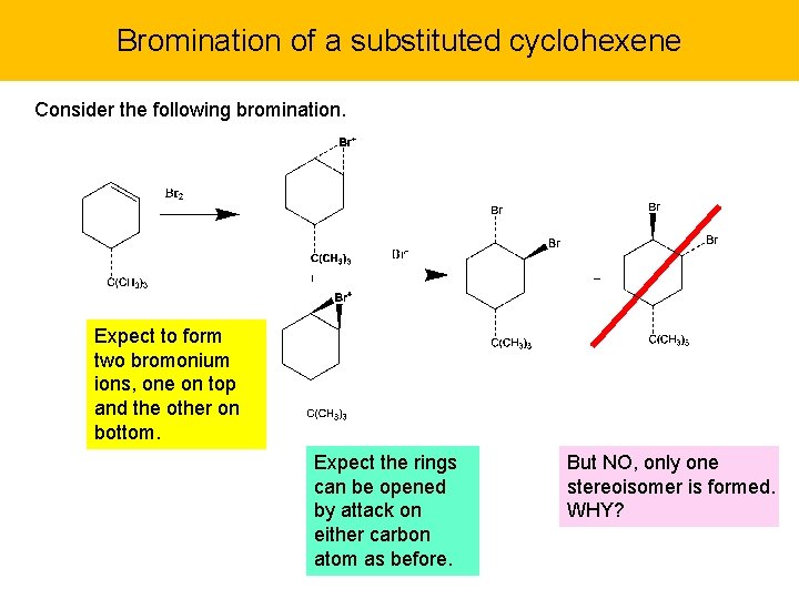 Bromination of a substituted cyclohexene Consider the following bromination. Expect to form two bromonium