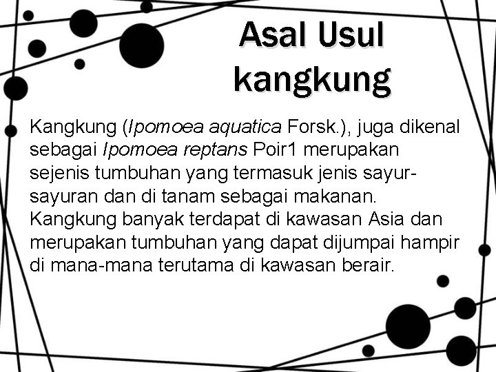 Asal Usul kangkung Kangkung (Ipomoea aquatica Forsk. ), juga dikenal sebagai Ipomoea reptans Poir Asal Usul kangkung Kangkung (Ipomoea aquatica Forsk. ), juga dikenal sebagai Ipomoea reptans Poir