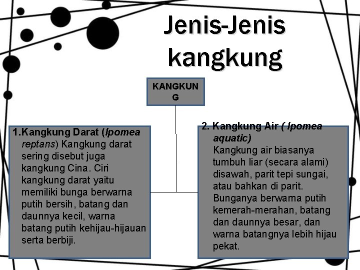 Jenis-Jenis kangkung KANGKUN G 1. Kangkung Darat (Ipomea reptans) Kangkung darat sering disebut juga Jenis-Jenis kangkung KANGKUN G 1. Kangkung Darat (Ipomea reptans) Kangkung darat sering disebut juga