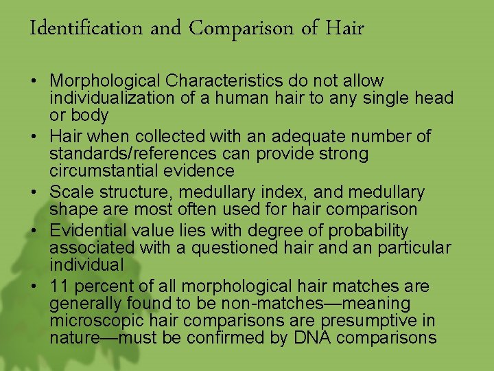 Identification and Comparison of Hair • Morphological Characteristics do not allow individualization of a