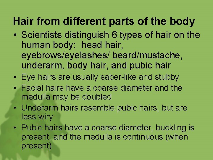 Hair from different parts of the body • Scientists distinguish 6 types of hair