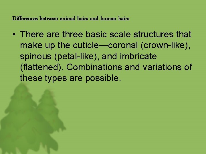 Differences between animal hairs and human hairs • There are three basic scale structures