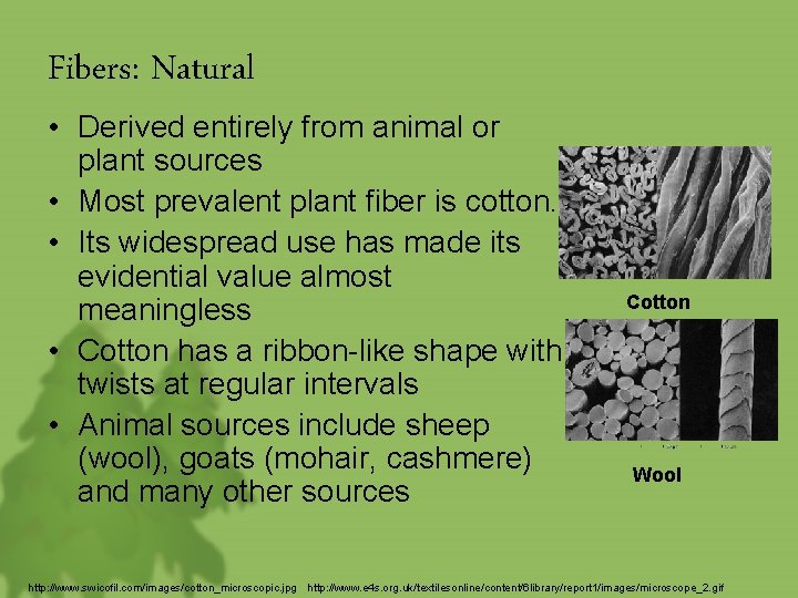 Fibers: Natural • Derived entirely from animal or plant sources • Most prevalent plant
