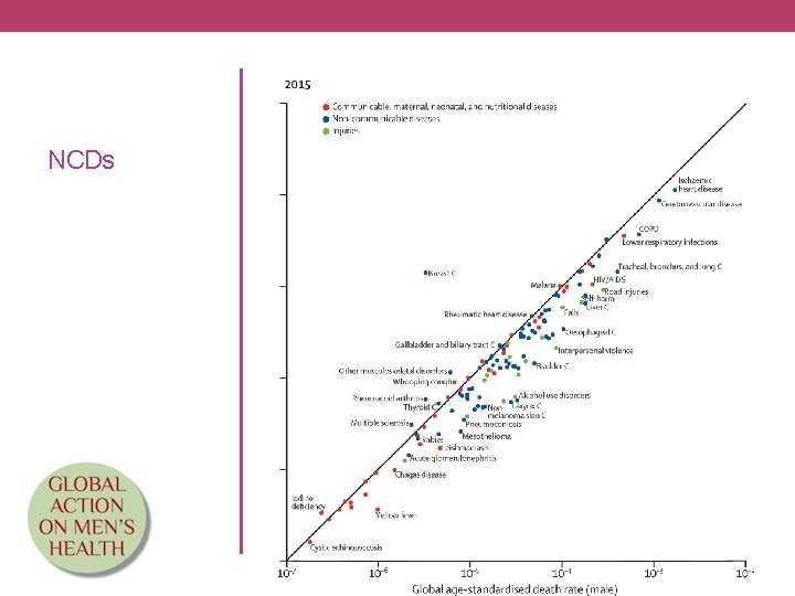 NCDs 