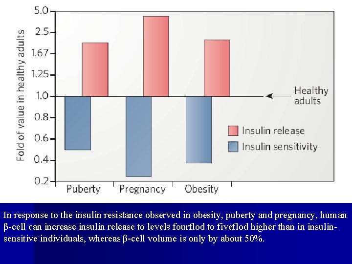 In response to the insulin resistance observed in obesity, puberty and pregnancy, human β-cell