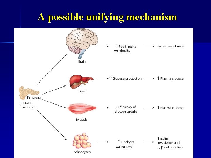 A possible unifying mechanism 