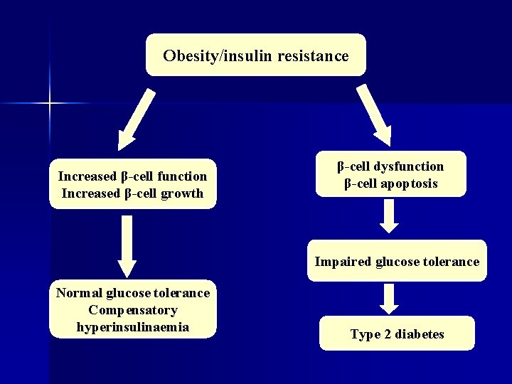 Obesity/insulin resistance Increased β-cell function Increased β-cell growth β-cell dysfunction β-cell apoptosis Impaired glucose