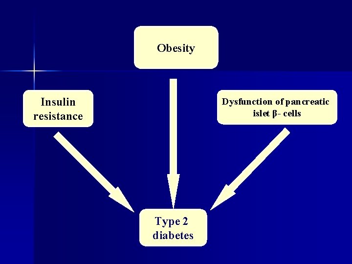 Obesity Insulin resistance Dysfunction of pancreatic islet β- cells Type 2 diabetes 